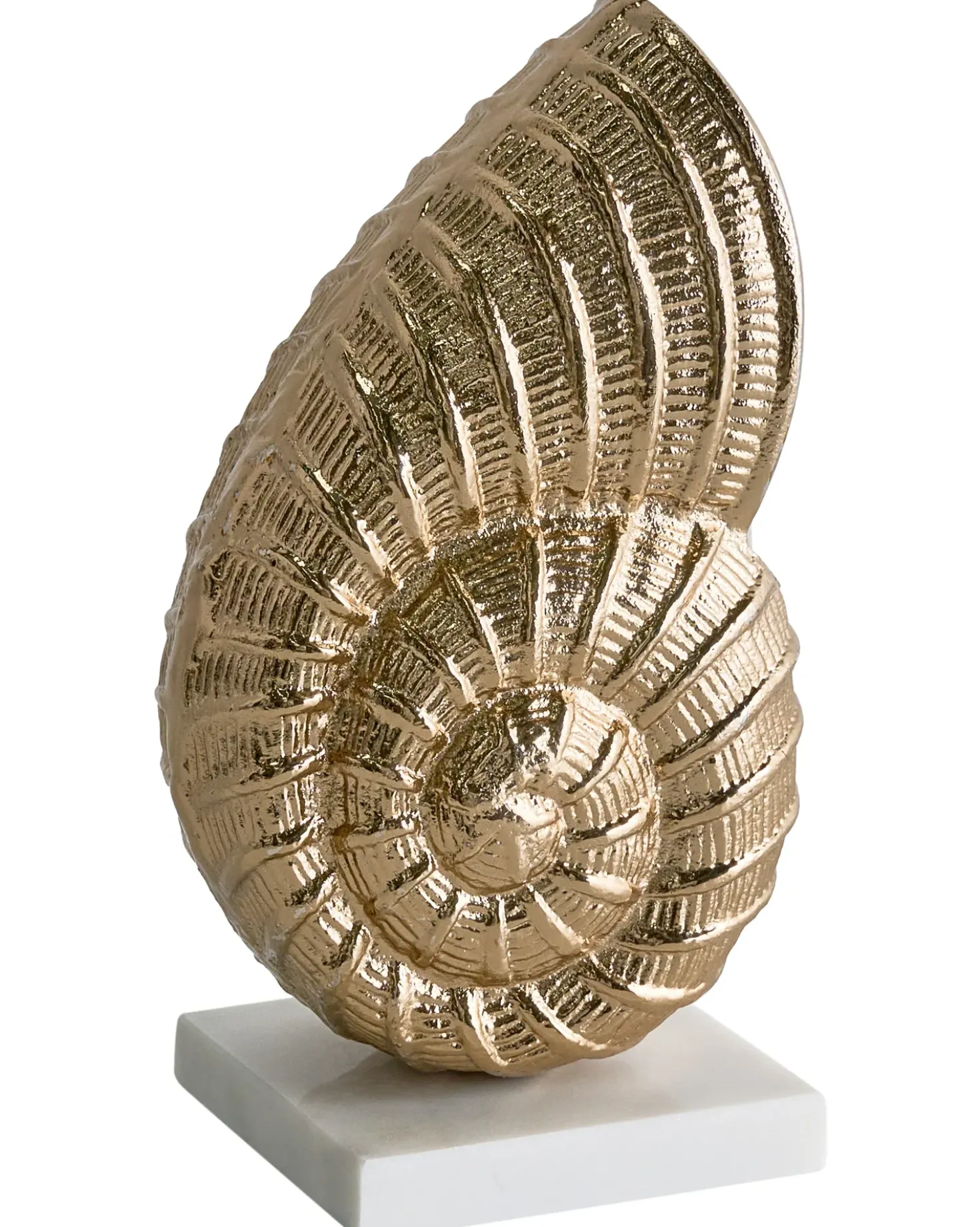 Accessorio decorativo Conchiglia TULJE Metallo Oro