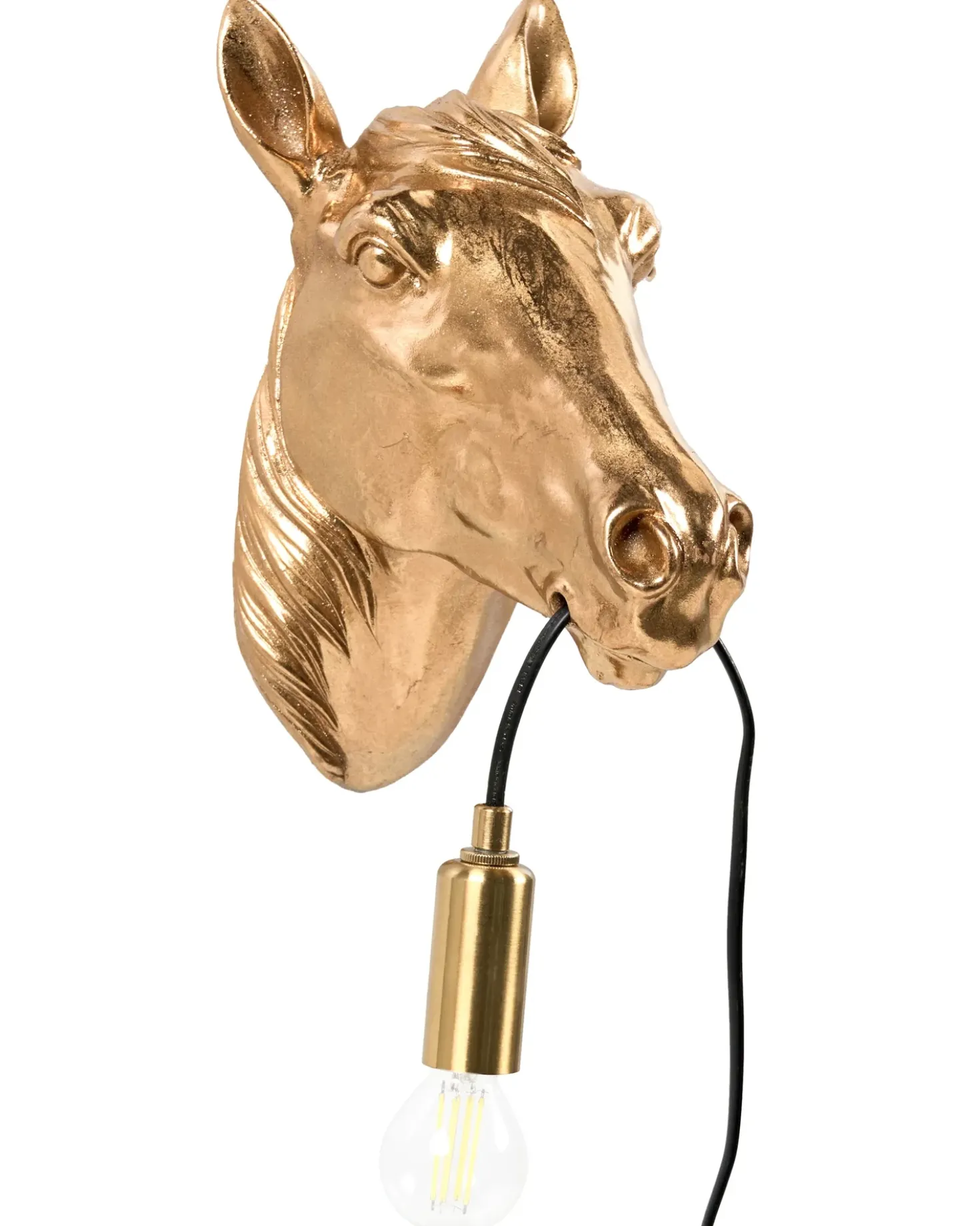 Applique Cavallo PHILIPPE Oro