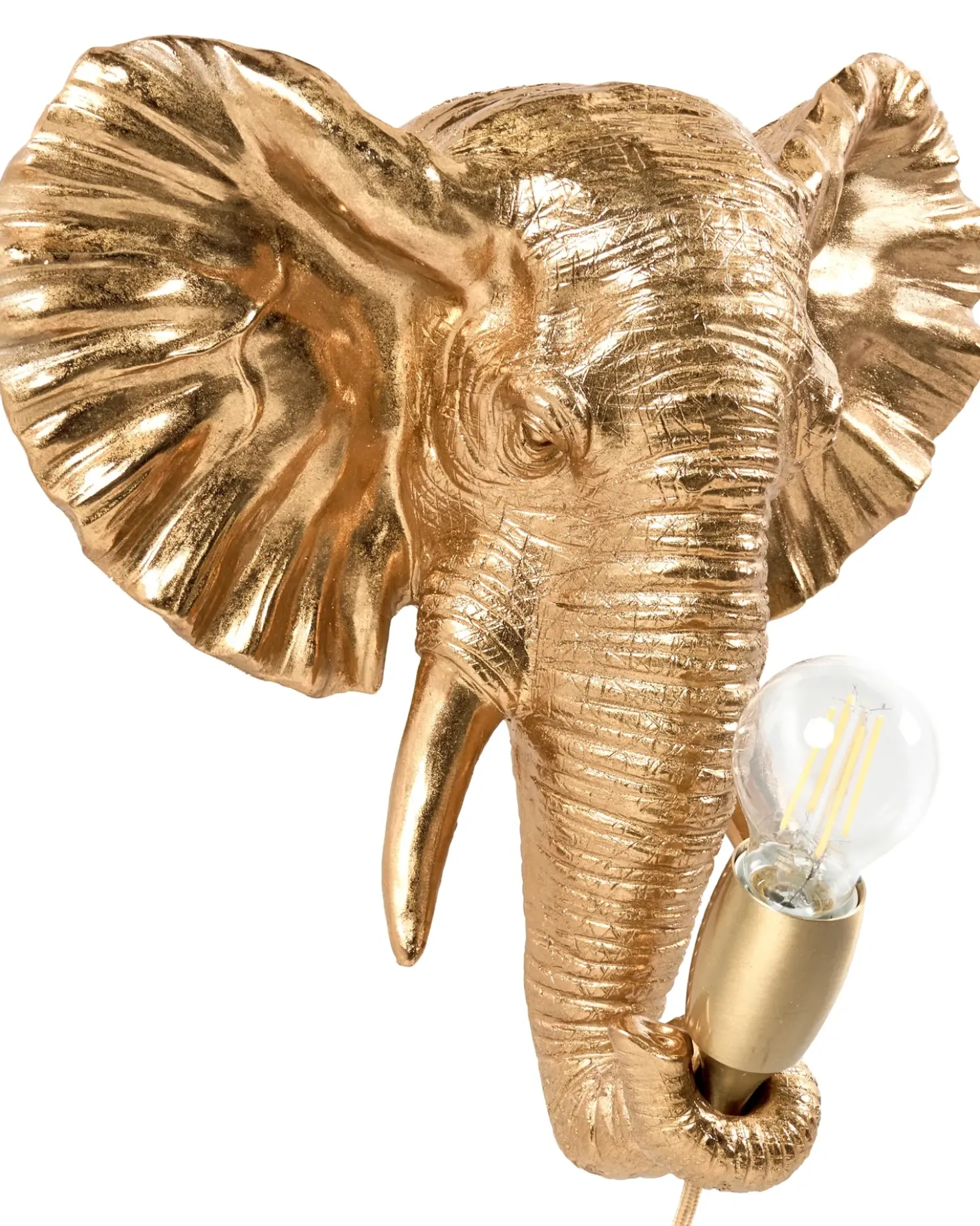 Applique Elefante ELEPHANTI Oro