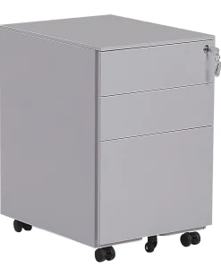 Armadietto da ufficio CAMI Metallo Grigio chiaro