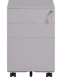 Armadietto da ufficio CAMI Metallo Grigio chiaro