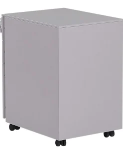 Armadietto da ufficio CAMI Metallo Grigio chiaro