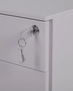 Armadietto da ufficio CAMI Metallo Grigio chiaro