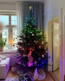 Catena luminosa Smart LED con App IGALIKU 13.5 m Multicolore