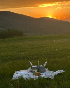 Cesto da Picnic GROSEILLE Vimini Grigio