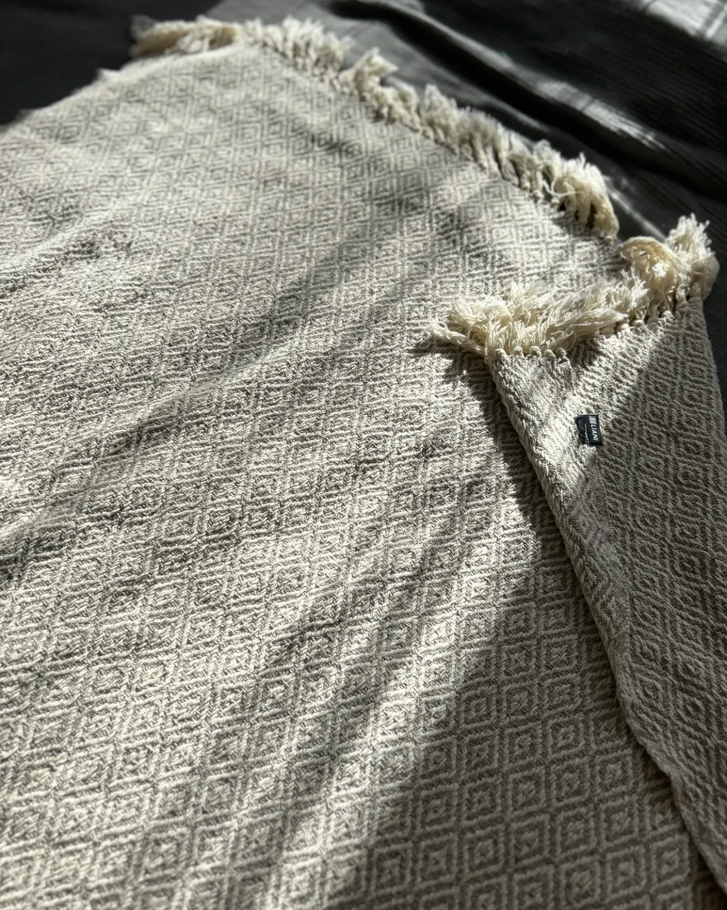 Coperta MITYAL Cotone 125 x 150 cm Tortora