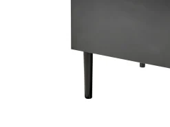 Credenza a 2 ante BLYTHE Frassino naturale Nero