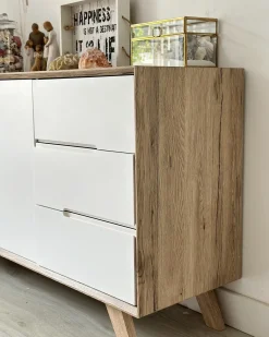Credenza a 2 ante FORESTER Marrone/Bianco