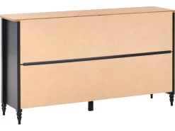 Credenza a 2 ante SHILLINGTON Legno di pino Nero