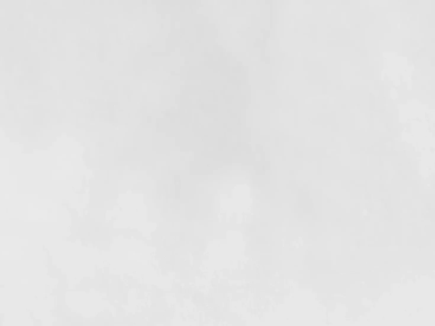 Cuscino da letto VIHREN Basso Piuma e piumino d'anatra 80 x 80 cm Bianco