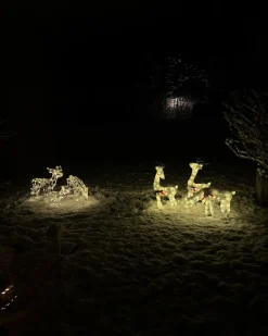 Decorazione per esterni LED ANGELI Renna 92/85/49 cm Bianco