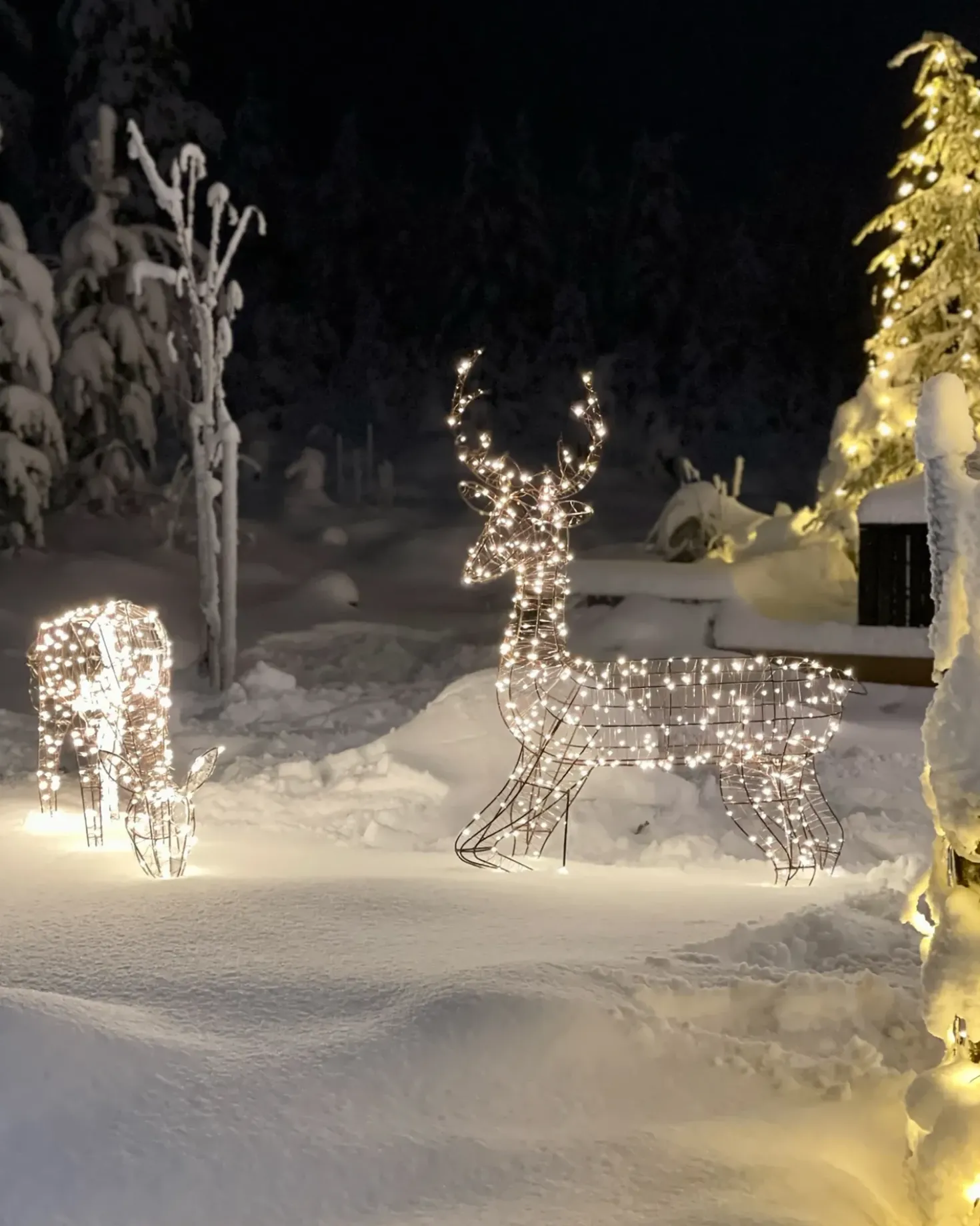Decorazione per esterni LED MAHLATTI Renna 128 cm Nero