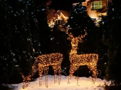 Decorazione per esterni LED NARUSKA Renna 70 cm Nero