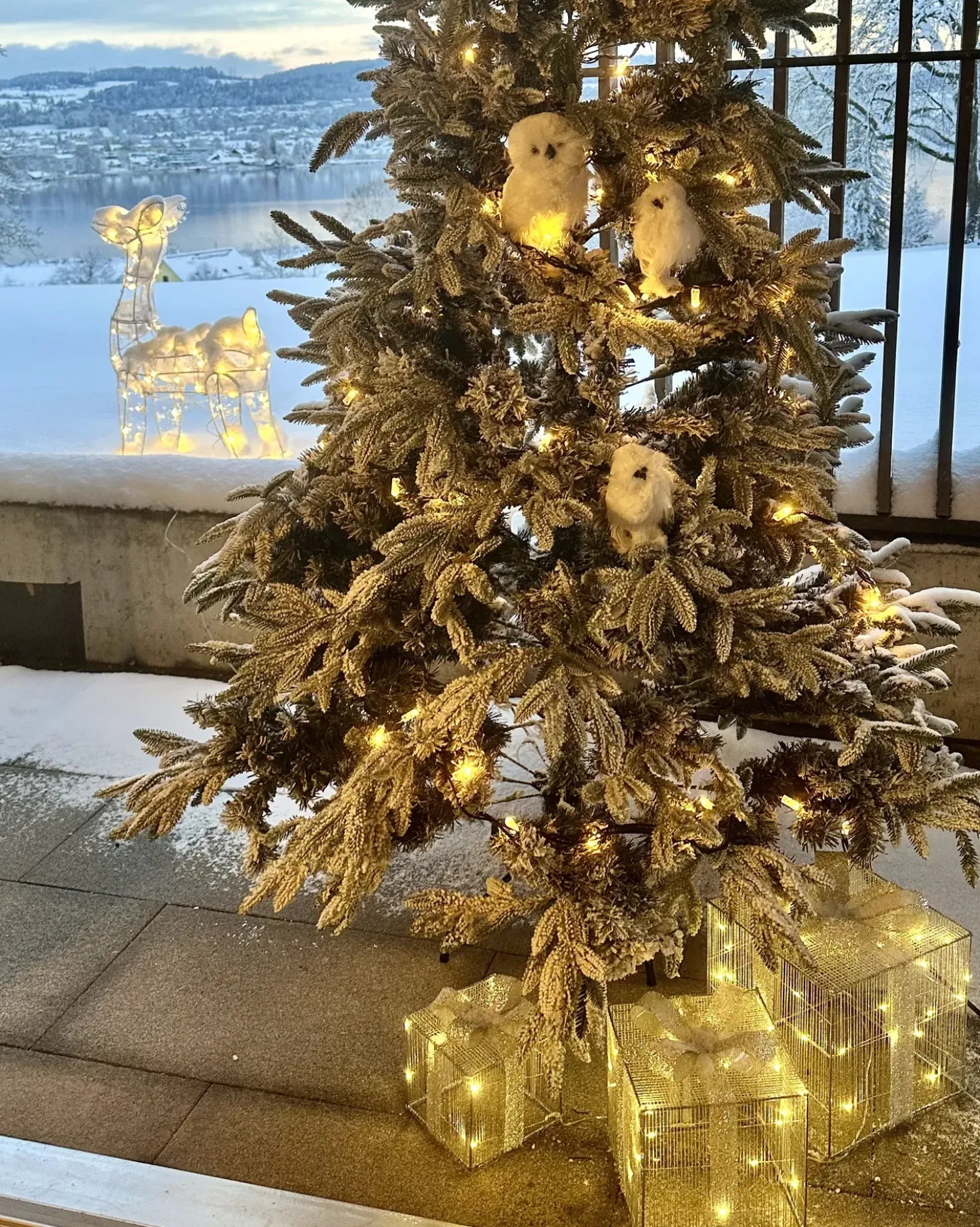 Decorazione per esterni LED ARNES Regali di Natale 25/20/15 cm Argento
