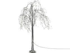 Decorazione per esterni LED NILLAKA Albero 145 cm Argento