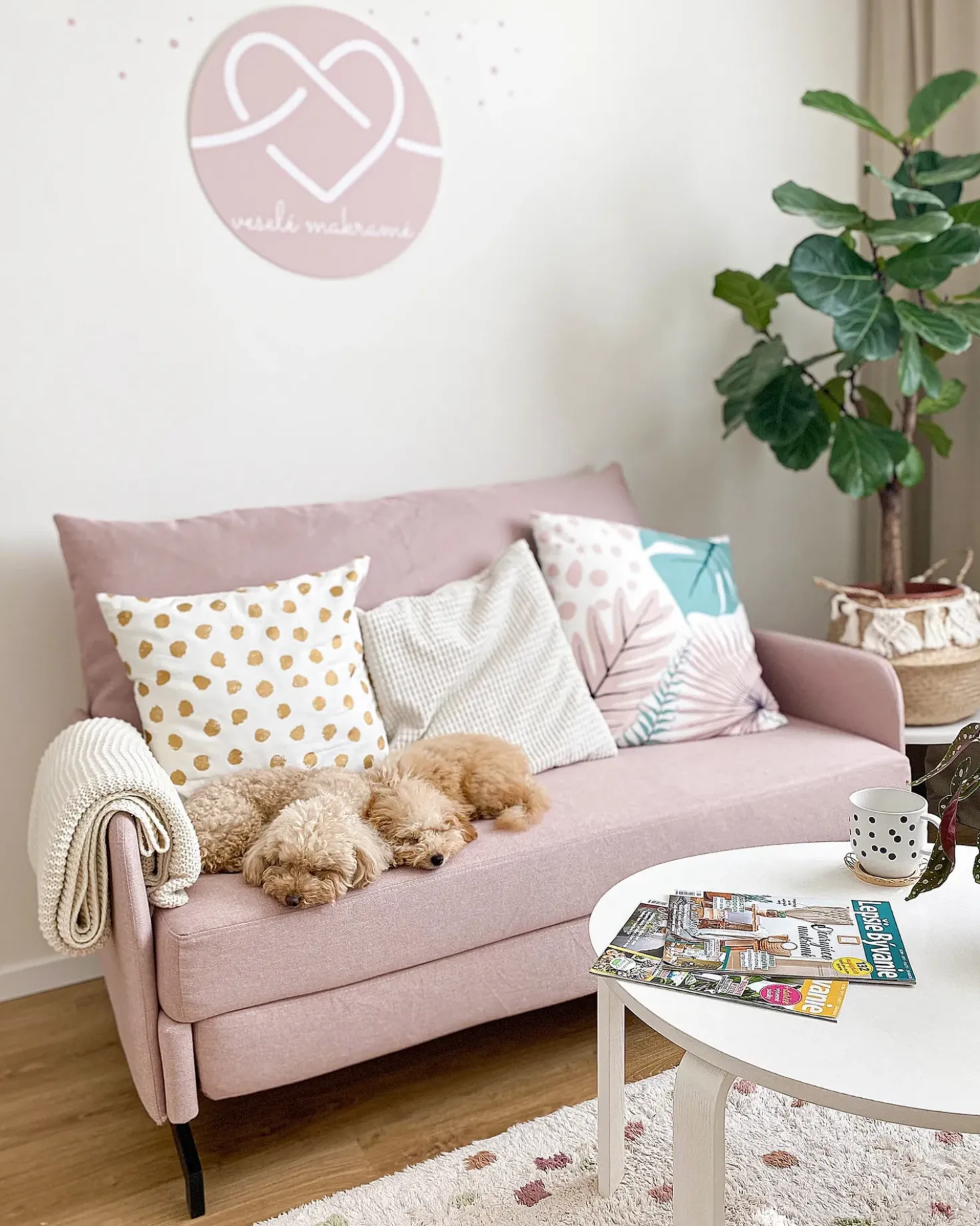 Divano letto 2 posti BELFAST Tessuto Rosa
