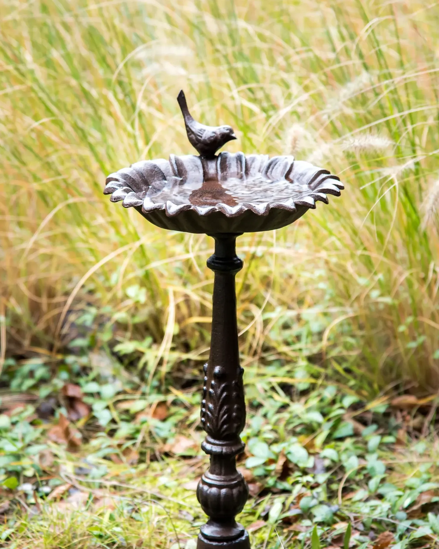 Fontana per uccelli BLACKBIRD Marrone