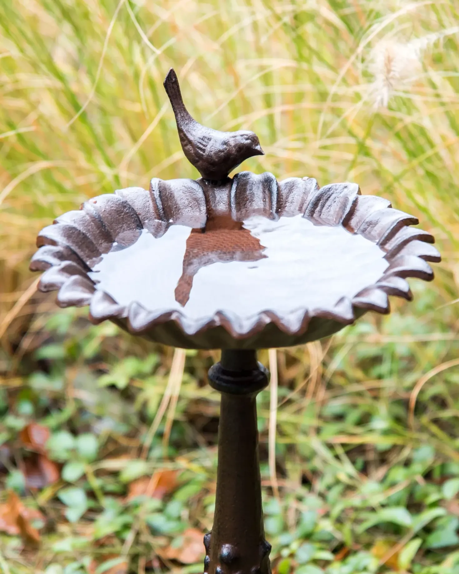 Fontana per uccelli BLACKBIRD Marrone