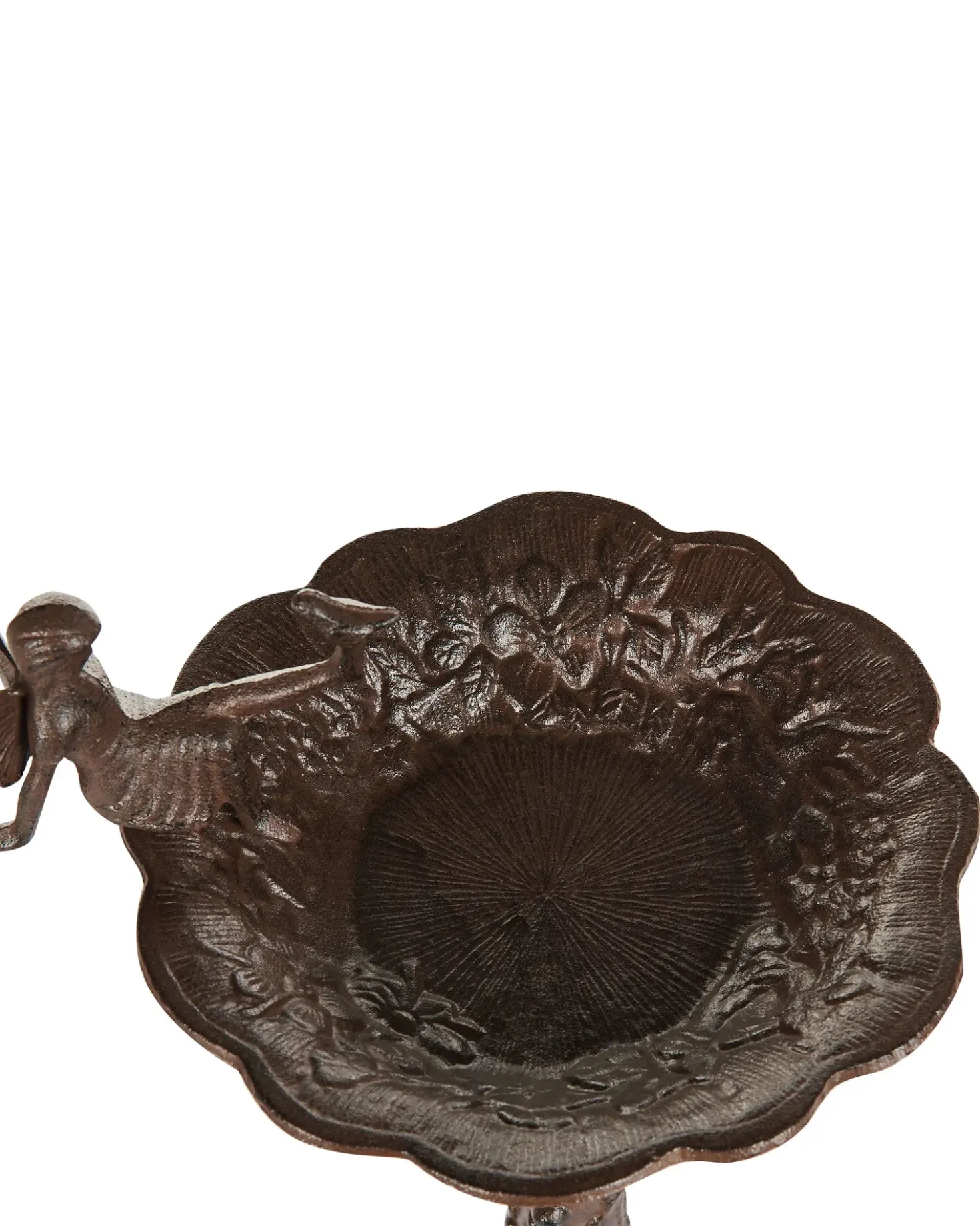 Fontana per uccelli LARK Marrone