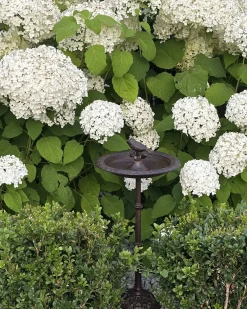 Fontana per uccelli SWALLOW Marrone