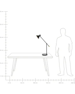 Lampada da scrivania PINKEEN Metallo Nero