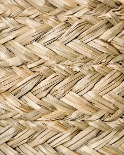 Lampadario MOROVIS Alghe marine Naturale