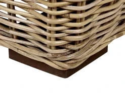 Lettino Prendisole con Cuscino PALESE Rattan Naturale