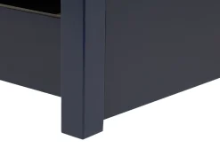 Letto a castello con cassetti Legno di pino REVIN 90 x 200 cm Blu marino