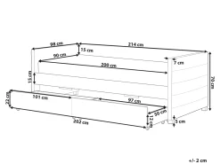 Letto da giorno con contenitore Velluto MARRAY 90 x 200 cm Grigio chiaro