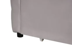 Letto da giorno con contenitore Velluto MARRAY 90 x 200 cm Grigio chiaro