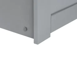 Letto estraibile Legno di pino EDERN 90 x 200 cm Grigio
