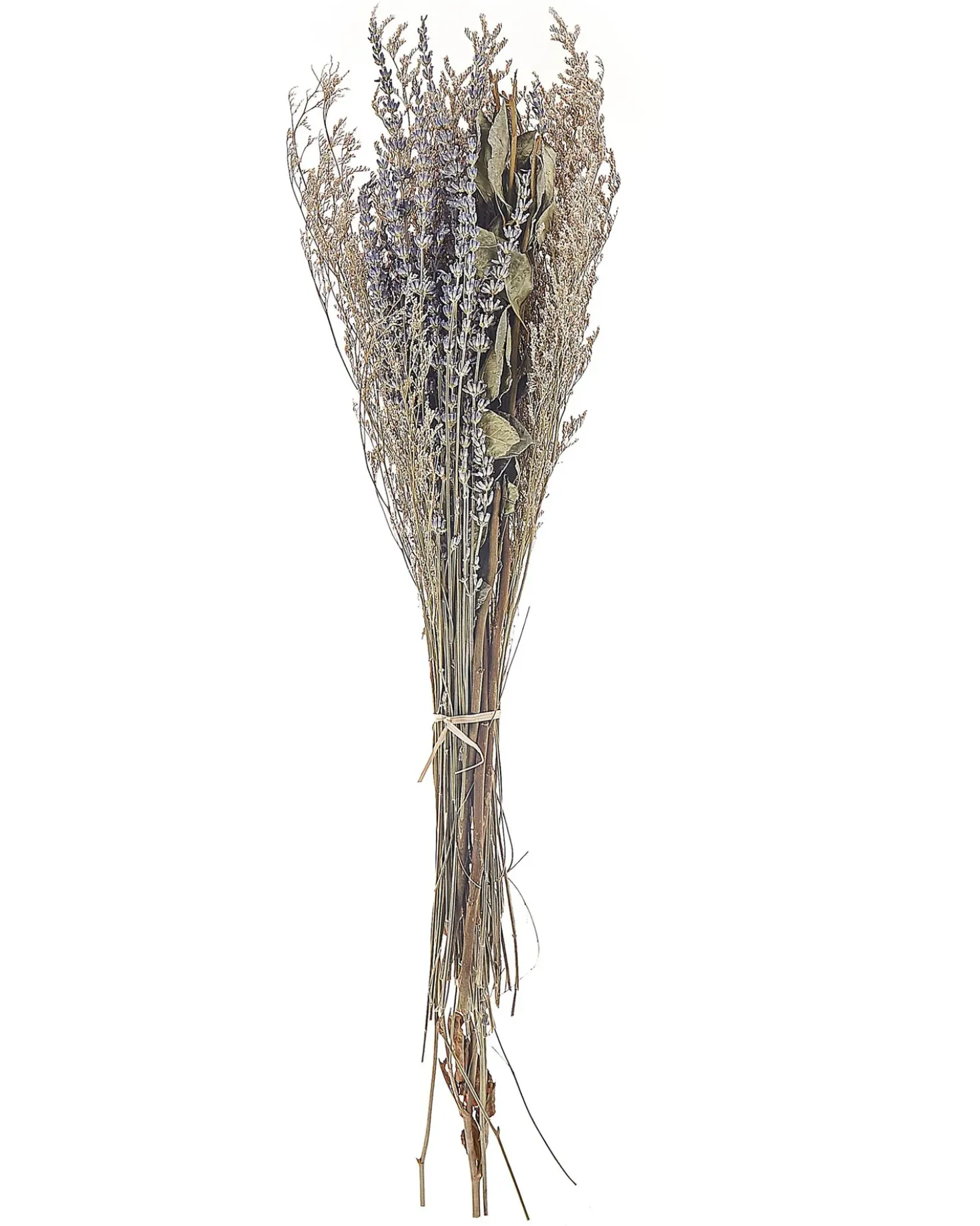 Mazzo di Fiori Secchi NAWARRA 70 cm Naturale