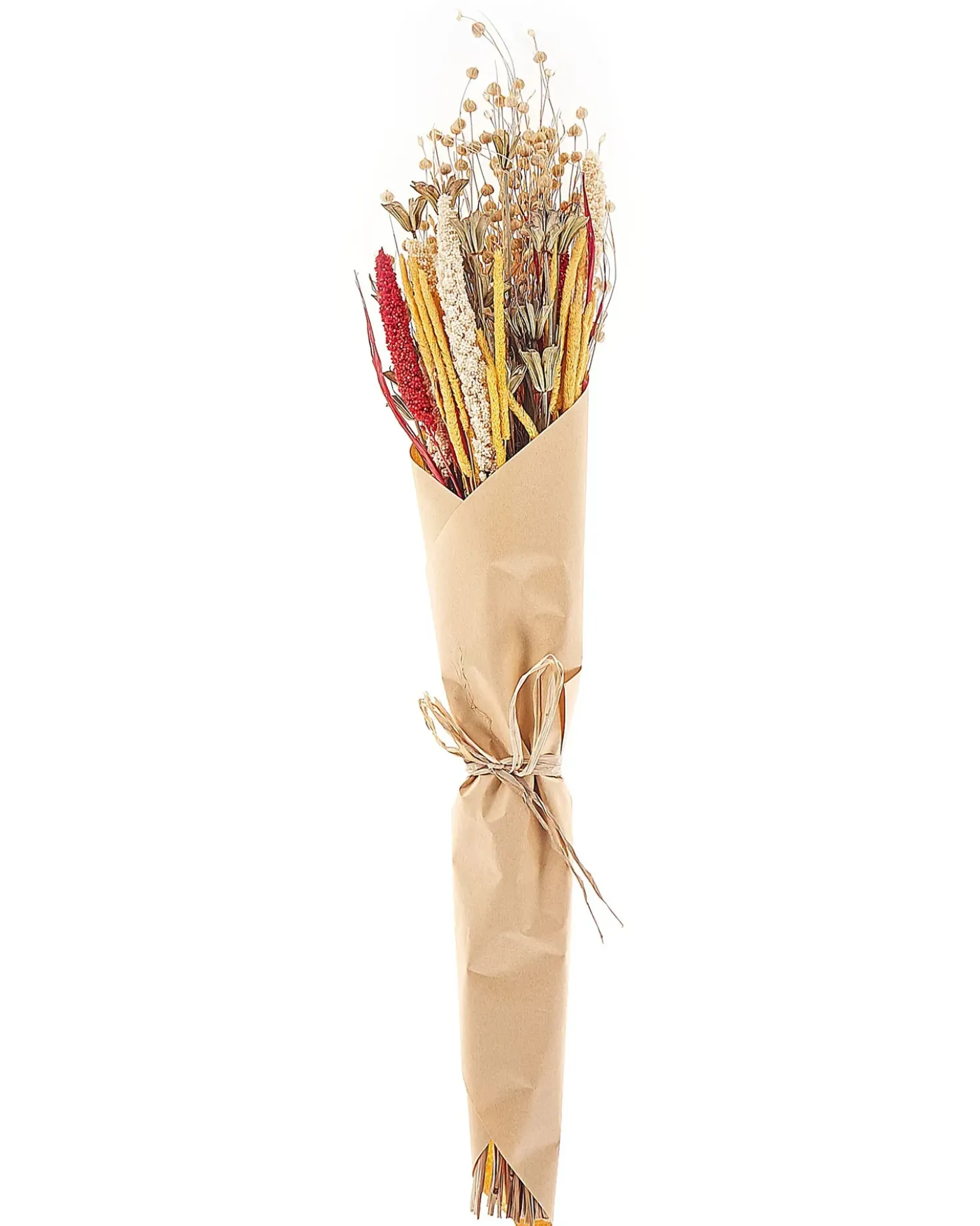 Mazzo di Fiori Secchi PAMPELUNA 65 cm Naturale