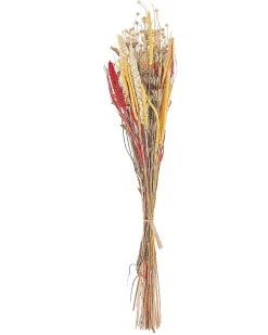 Mazzo di Fiori Secchi PAMPELUNA 65 cm Naturale