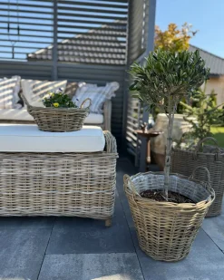 Panca da giardino con cuscino SUSUA 141 cm Rattan Naturale