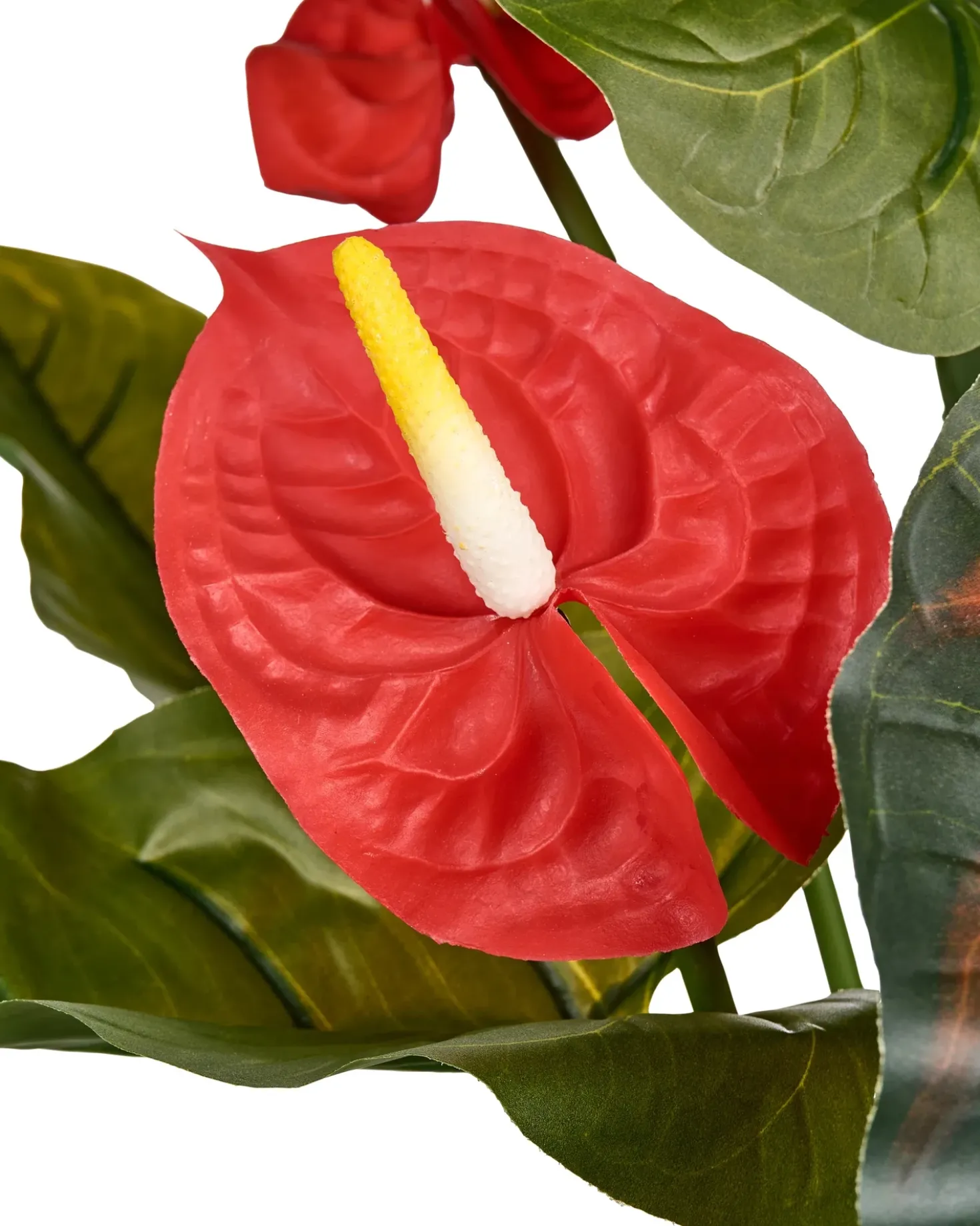 Pianta artificiale ANTHURIUM 95 cm Verde