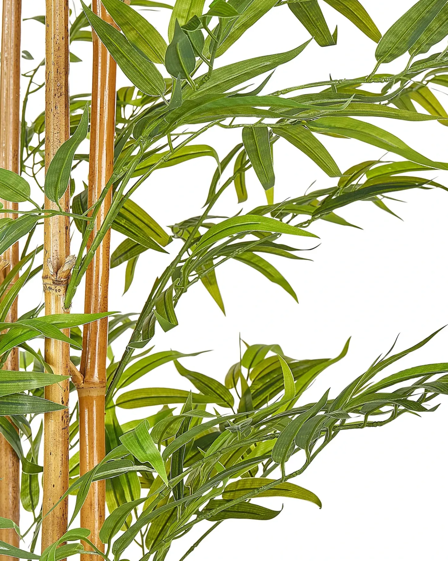 Pianta artificiale BAMBOO 220 cm Verde