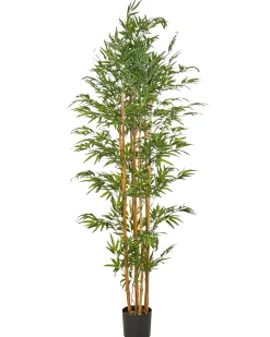 Pianta artificiale BAMBOO 220 cm Verde