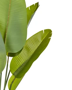 Pianta artificiale BANANA TREE 187 cm Verde