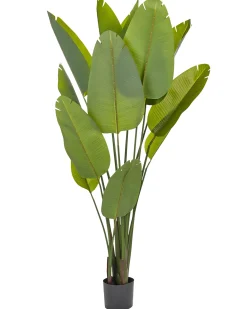 Pianta artificiale BANANA TREE 187 cm Verde
