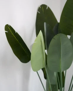 Pianta artificiale BANANA TREE 187 cm Verde