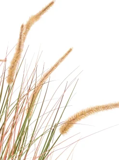 Pianta artificiale BRISTLEGRASS 120 cm Arancione