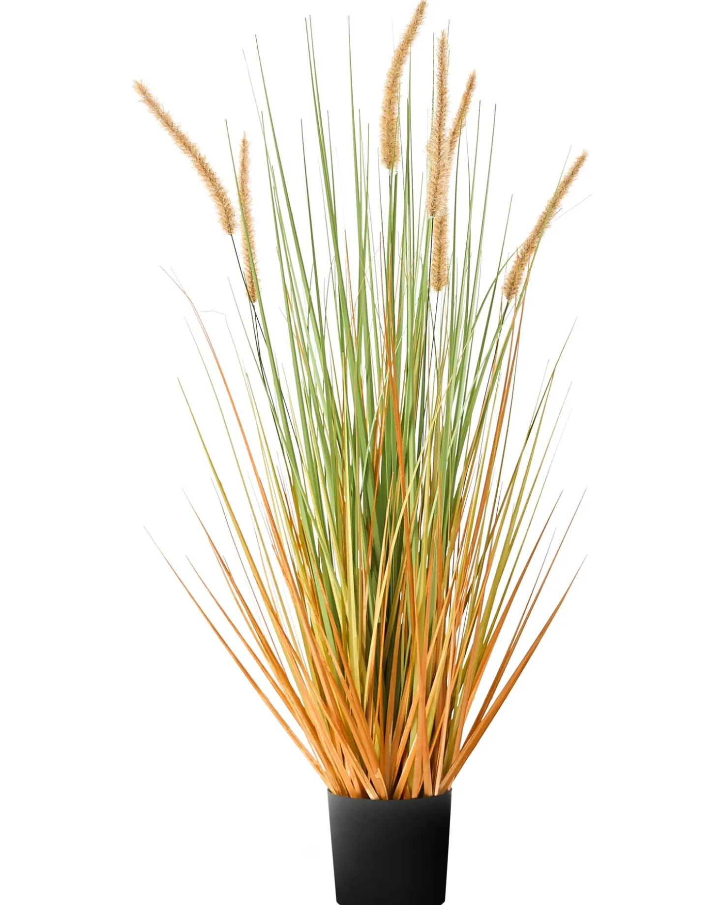 Pianta artificiale BRISTLEGRASS 90 cm Verde