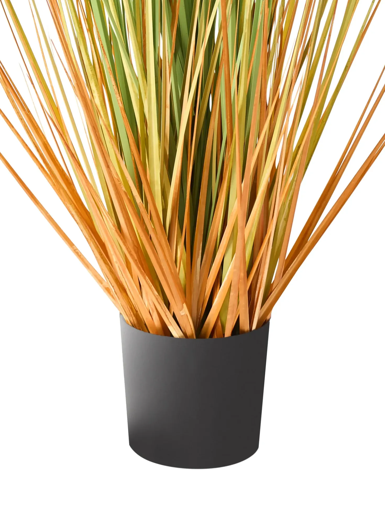 Pianta artificiale BRISTLEGRASS 90 cm Verde