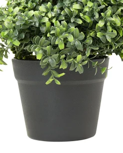 Pianta artificiale BUXUS SPIRAL TREE 98 cm Verde