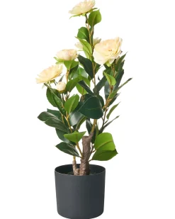 Pianta artificiale CAMELLIA 60 cm Verde