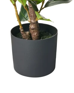 Pianta artificiale CAMELLIA 60 cm Verde