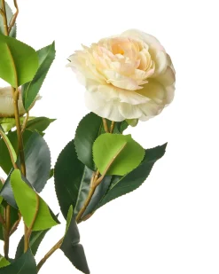 Pianta artificiale CAMELLIA 60 cm Verde
