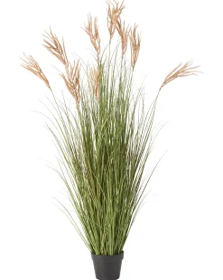 Pianta artificiale CLAW FLOWER 150 cm Verde