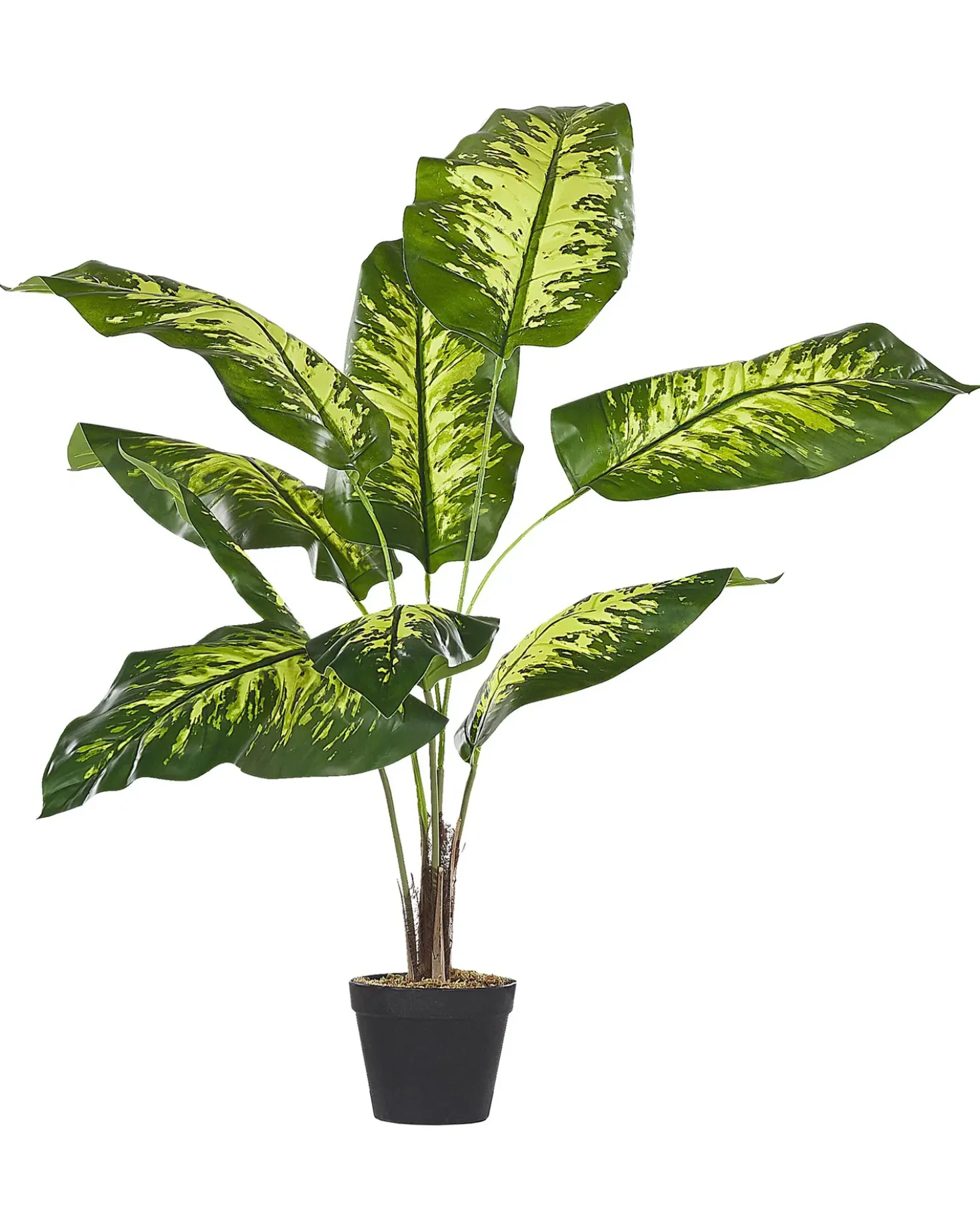 Pianta artificiale DIEFFENBACHIA 122 cm Verde